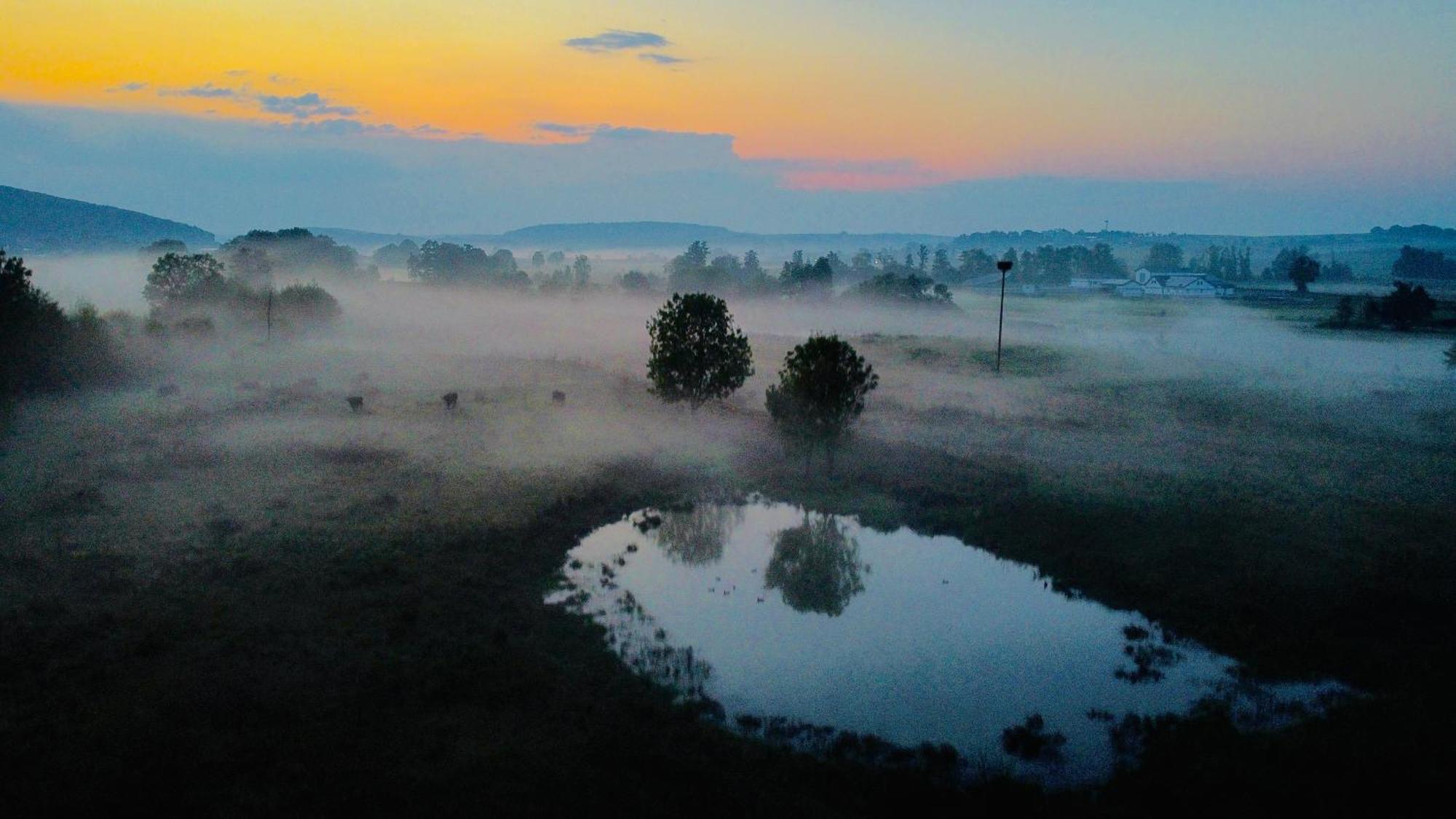 Fewo Buedingen - Ankerplatz ภายนอก รูปภาพ